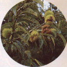 wt19a3.gif (20685 �o�C�g)